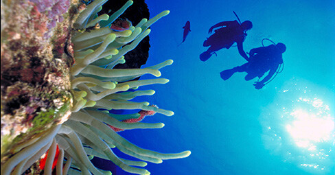 centros de buceo