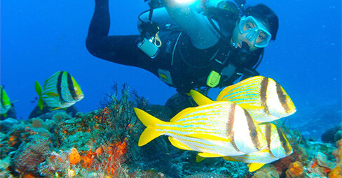 descuento en buceo nocturno