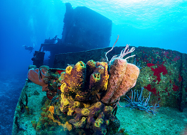 sitio de buceo, barco hundido en cozumel