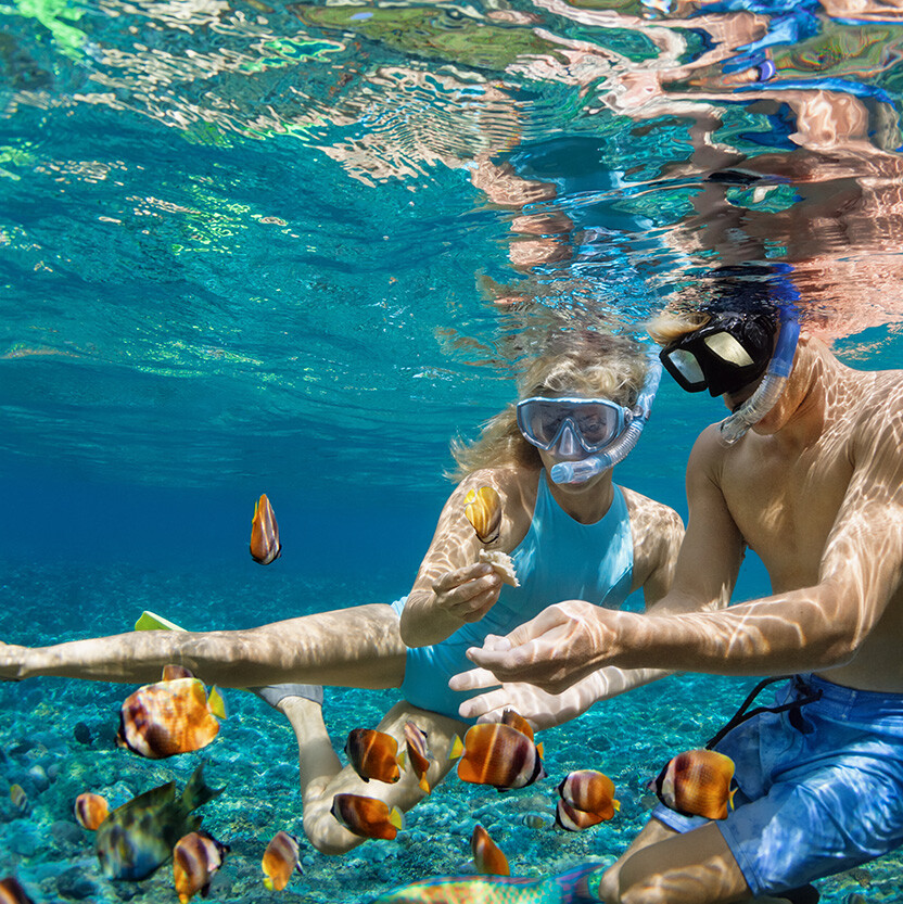 snorkeling-cozumel-1