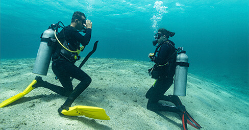 viaje de buceo