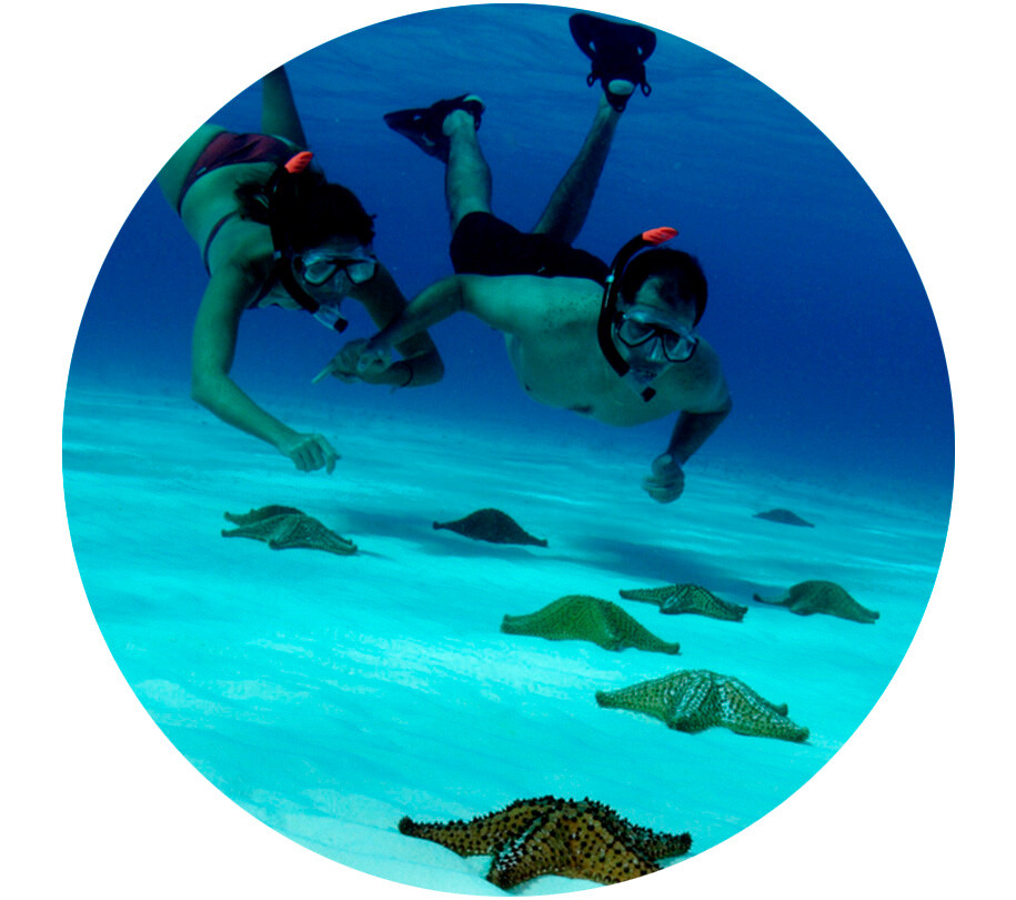 Ofertas y paquetes para actividades acuáticas en Cozumel