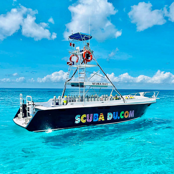 Información de los paquetes de buceo en Cozumel de InterContinental