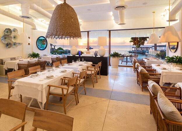 Best fine dining in Cozumel at Faro Blanco