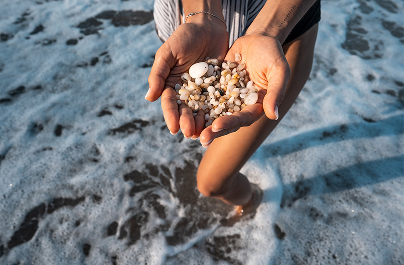 Conservation efforts for environmental sustainability.