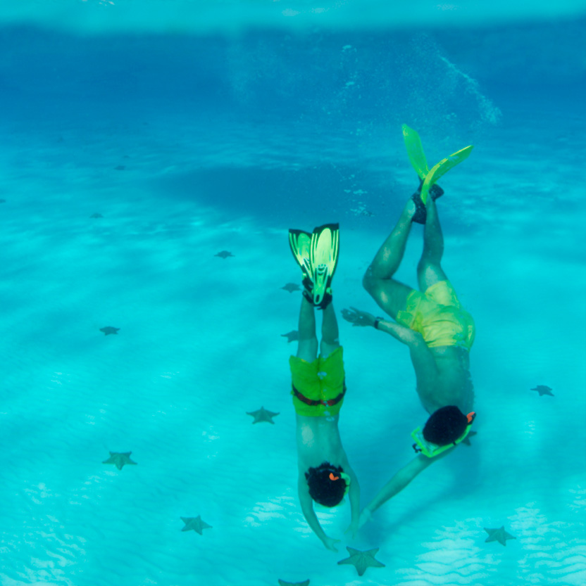 Sustainability in hotels for corporate responsibility