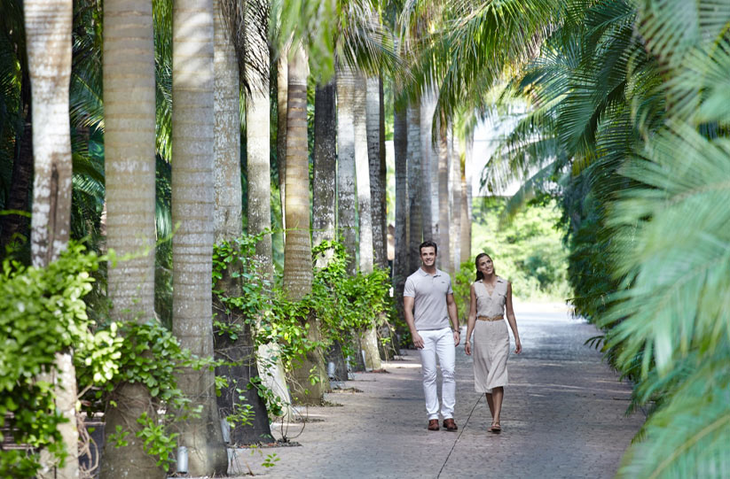 Sustainable travel and tourism for development.